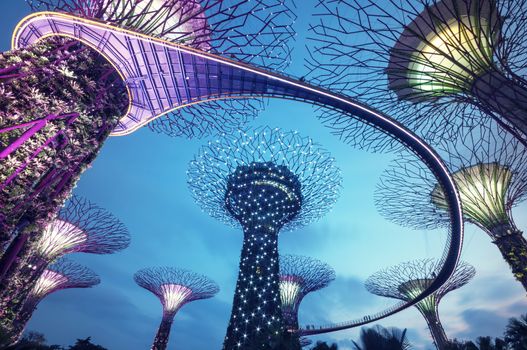 Night view of the Supertree Grove in the Graden by the Bay in Singapore