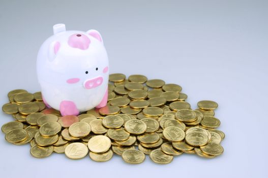 A lot of gold coins  placed around cute piggy bank.                            