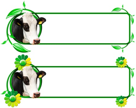Two horizontal banners with a head of cow, green and yellow flowers with leafs and space for text. Isolated on white background