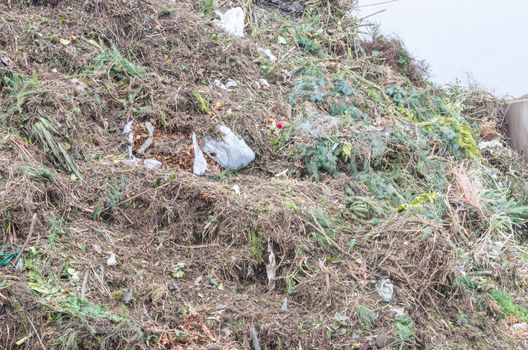 Great mountain pile of various green waste at a recycling yard.