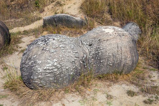 The Trovants of Costesti - The Living and Growing Stones of Romania