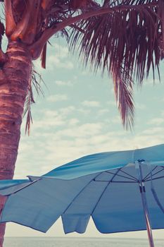 Beach chair, palm, and umbrella. Travel concept