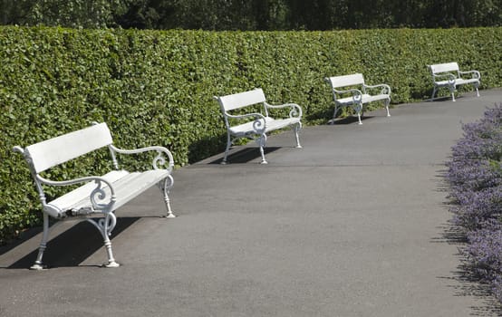 Row of white benches in a park