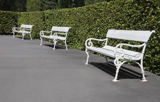 Row of white benches in a park