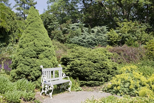 White bench among green plants on a sunny day