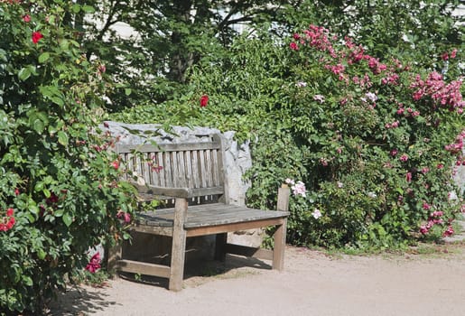 White bench among green plants on a sunny day