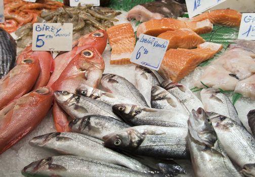 Various fresh fish on ice in a Barcelona market
