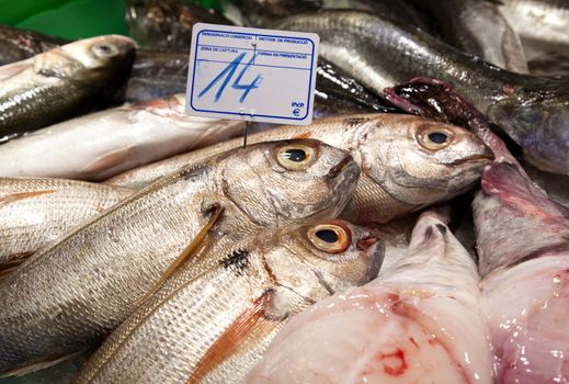Various fresh fish on ice in a Barcelona market