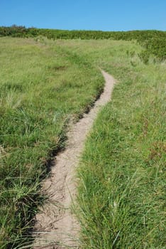 Path in spring