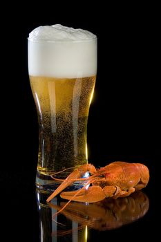 Mug of beer and crawfish