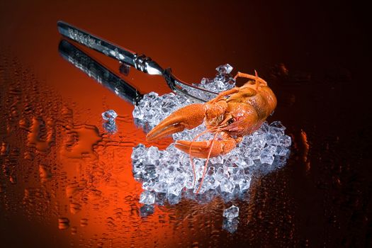 Metak fork, ice and crawfish on a glass background