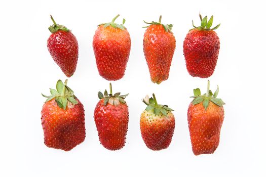 Isolated Strawberry in two rows