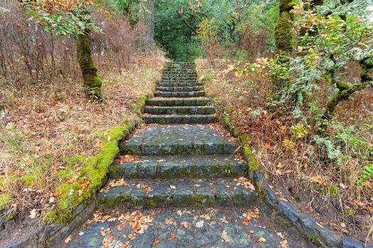 Stone Stairs Steps at Eagle Creek Overlook Hiking Trail in Columbia River Gorge Oregon