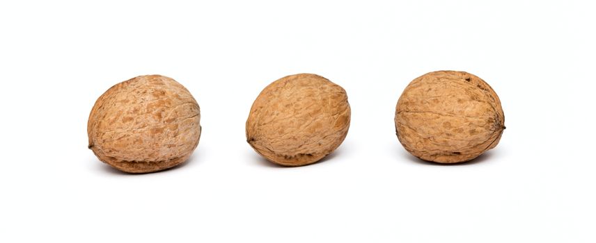 three walnuts close up isolated on white background