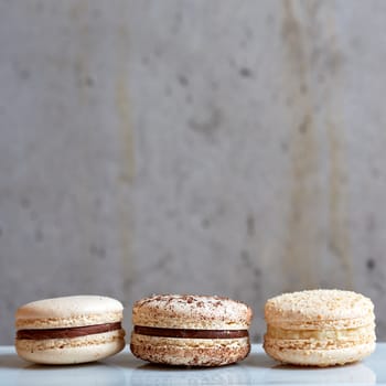 Sweet handmade macaroon on grey background. Shallow dof