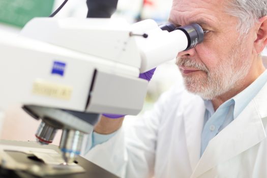 Senior head scientist  microscoping in the life science research laboratory. Fields od diagnostics, biochemistry, pharmacy, genetics, forensics, microbiology, pharmacogenetics...