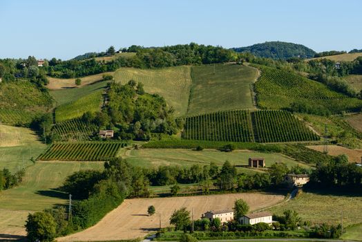 In the picture a beautiful view of the hills of Piacenza (Castell'Arquato) and its vineyards.