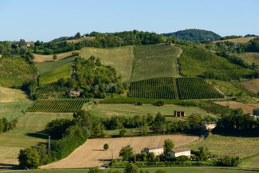 In the picture a beautiful view of the hills of Piacenza (Castell'Arquato) and its vineyards.