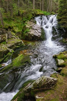 Waterfall in deep forest at mountains, Retezat national park, Romania