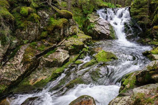 Waterfall in deep forest at mountains, Retezat national park, Romania