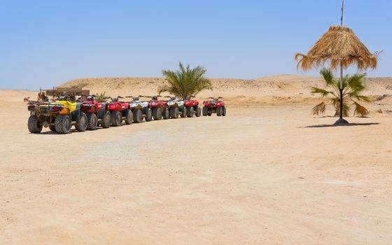 In the picture a row of oblique quad ready to be used and in the background the Egyptian desert