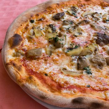 In the picture typical Italian pizza  with tomato,mozzarella,cheese and mushrooms.