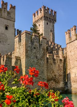 A Scaliger Castle (13th Century) with foreground red geraniums.