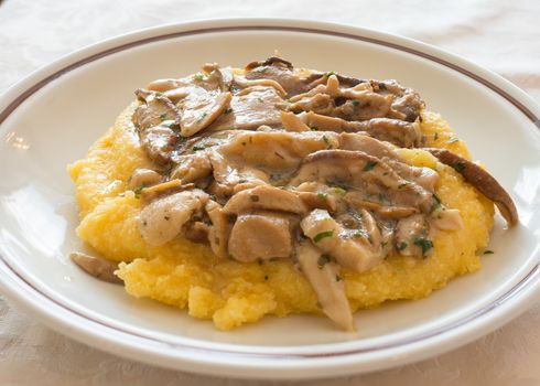 Pictured Polenta with mushrooms "Porcini" and herb.