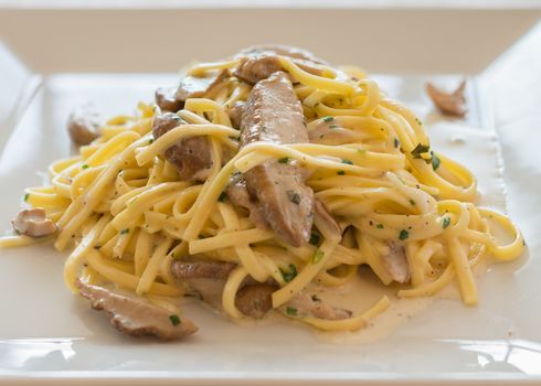 Close-up Italian pasta "Tagliolini" with mushrooms  Porcini,cream and herbs.