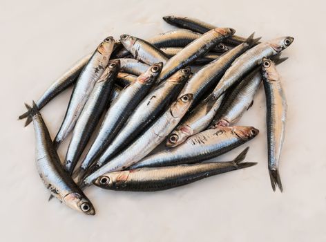 In the picture a set of fresh anchovies of the Mediterranean resting on a white sheet of paper