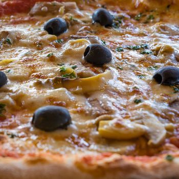 A close-up image of a slice Italian pizza with olives , mushrooms,tomato,mozzarella and herbs.