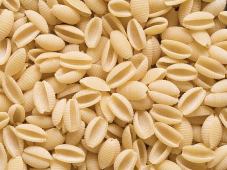 close up of uncooked gnocchetti sardi pasta food background