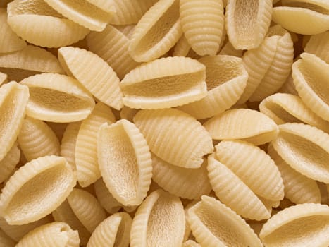 close up of italian uncooked gnocchetti sardi pasta food background