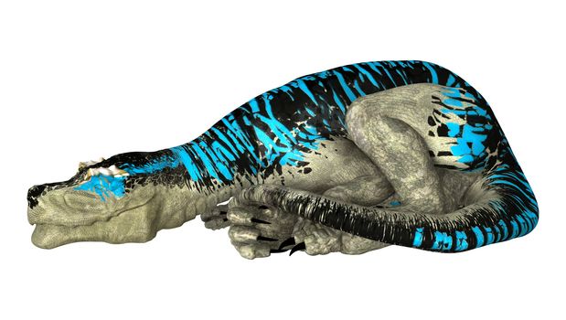 3D digital render of a dinosaur Tyrannosaurus Rex sleeping  isolated on white background