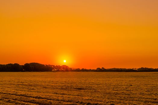 Field landscape in the morning with a sunrise