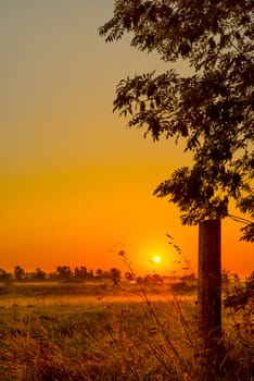 Countryside sunrise an early morning in the summer