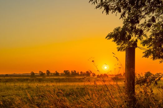 Sunrise over a misty field in the late summer
