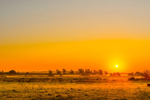 Misty field with a sunrise in the morning