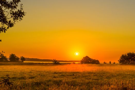 Early morning with a sunrise over a misty field