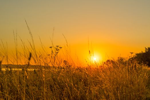 Sunrise over a lake in the morning with tall grass