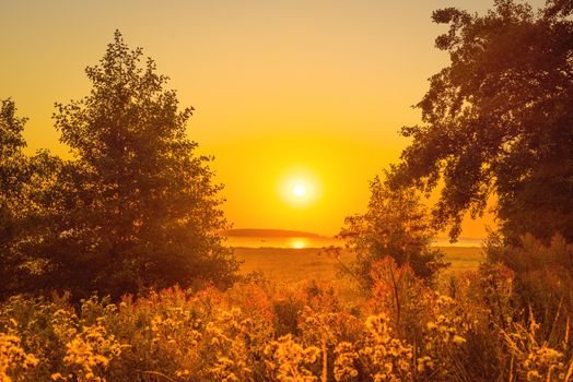 Sunrise over a lake with trees in the morning