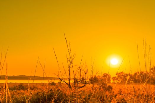 Sunrise in a countryside scenery in the morning