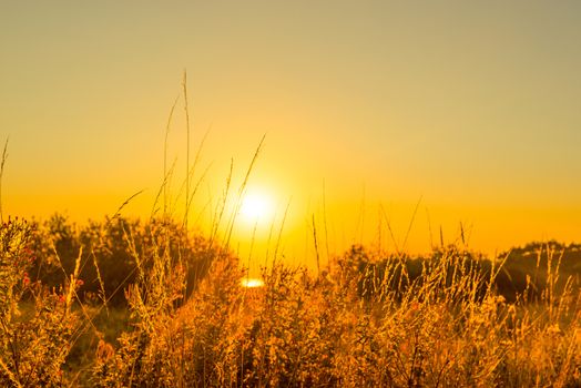 Early morning with a countryside sunrise over a field
