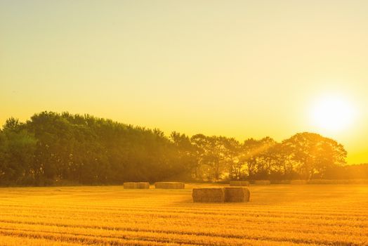 Countryside landscape with straw bales in the summer