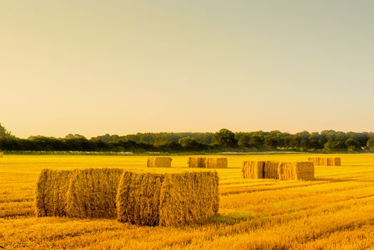 Straw bales in a countryside landscape in the morning