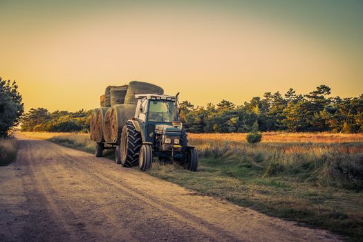 Old blue tractor loaded with round hay bales
