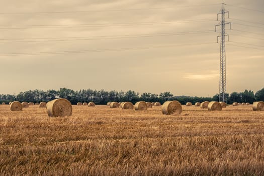 Round bales on a field with pylons in the evening