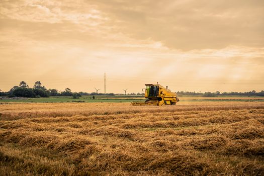Yellow harvester machine on a field in the summertime