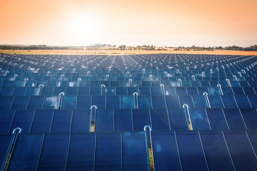 Solar park producing green energy in the sunrise