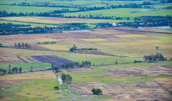 Aerial view of paddy rice fields in Mekong Delta Zone, Southern Vietnam.